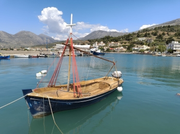 WhatsApp Image 2026-04-29 at 08.49.29 (1).jpeg