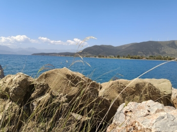 WhatsApp Image 2026-04-29 at 08.49.29.jpeg