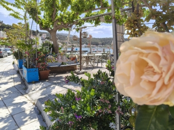 WhatsApp Image 2026-04-29 at 08.49.27.jpeg