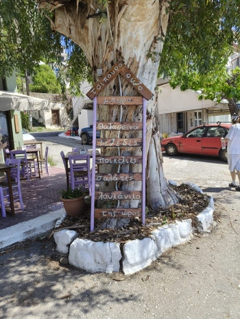 WhatsApp Image 2026-04-29 at 08.49.28.jpeg