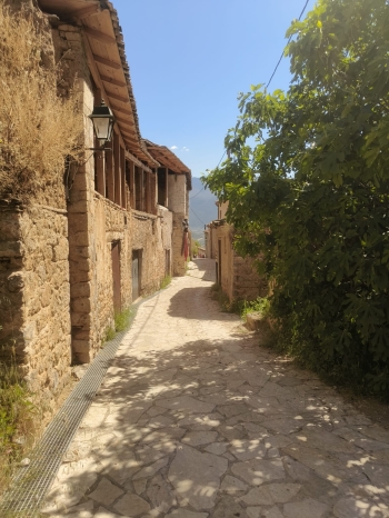 WhatsApp Image 2026-04-30 at 07.42.00 (3).jpeg