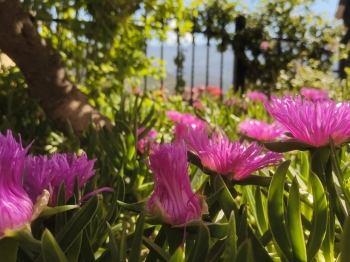 WhatsApp Image 2026-04-30 at 07.41.58 (1).jpeg