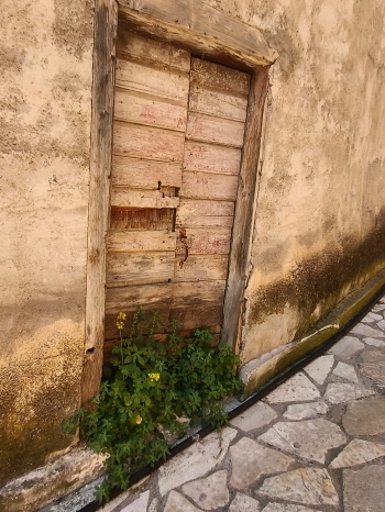 WhatsApp Image 2026-04-30 at 07.41.59 (1).jpeg