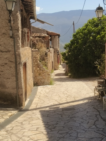 WhatsApp Image 2026-04-30 at 07.41.59 (4).jpeg