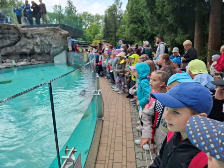 Wycieczka do zoo